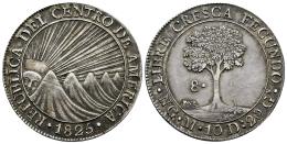 Monedas Extranjeras