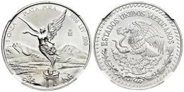 Monedas Extranjeras