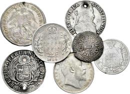 Lotes y colecciones