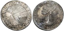 Monedas Extranjeras