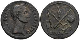 Paduanos, Electrotipos y Copias