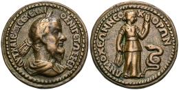 Paduanos, Electrotipos y Copias