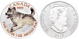 Monedas Extranjeras