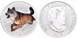 Monedas Extranjeras
