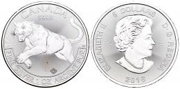 Monedas Extranjeras
