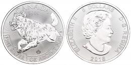 Monedas Extranjeras