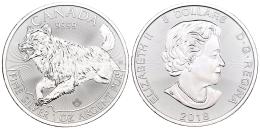 Monedas Extranjeras