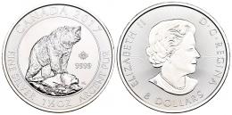 Monedas Extranjeras