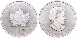 Monedas Extranjeras