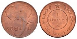 Monedas Extranjeras