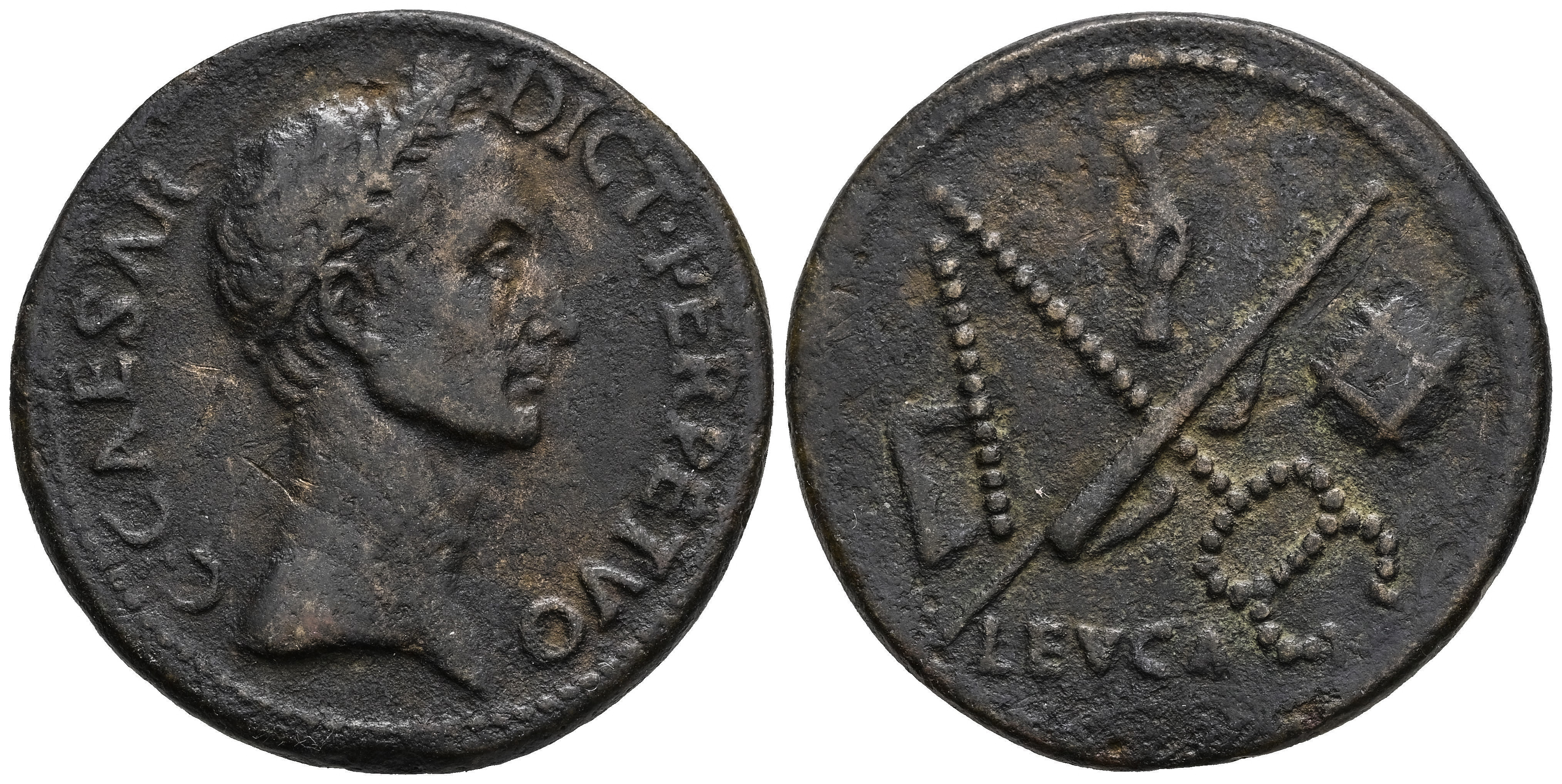 Paduanos, Electrotipos y Copias